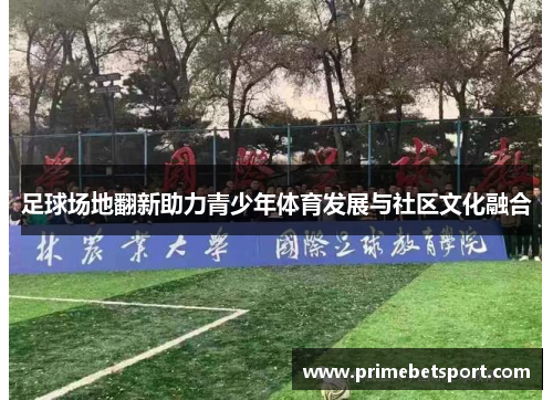 足球场地翻新助力青少年体育发展与社区文化融合